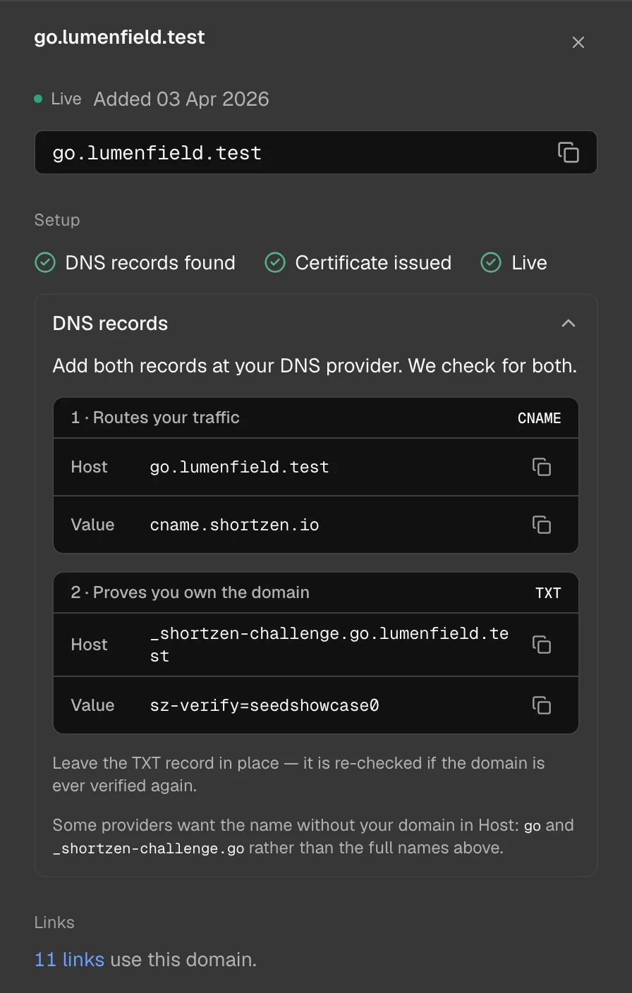 The side panel of a verified custom domain in an example workspace: its status, and the DNS records that point it at ShortZen.